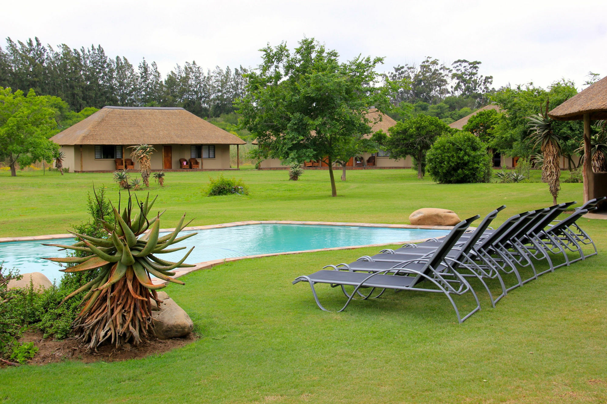 Chrislin African Lodge 아도 외부 사진